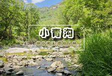 1日 | 小青溝10KM溯溪?